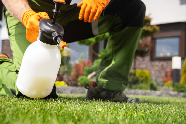 Best Rat Extermination Near Me  in Wona Lake, IN