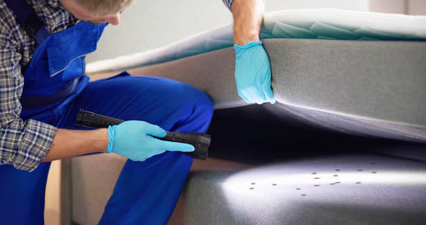 Reliable Winona Lake, IN Pest Control Solutions