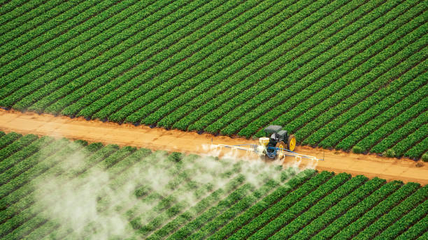 Best Commercial Pest Control Services  in Wona Lake, IN