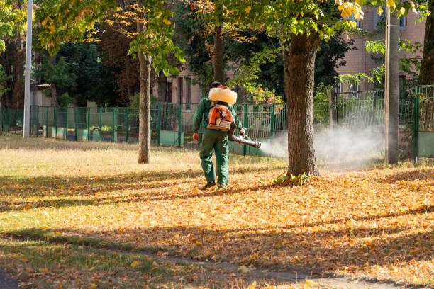 Best Local Pest Control Services  in Wona Lake, IN