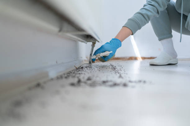 Best Cockroach Control Services  in Wona Lake, IN