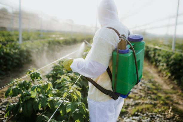 Best Residential Pest Control  in Wona Lake, IN